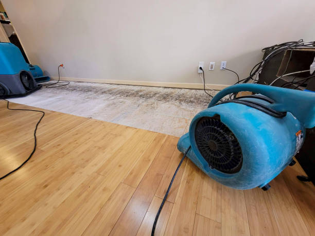 Professional Basement Flood Cleanup technician working in King, WI