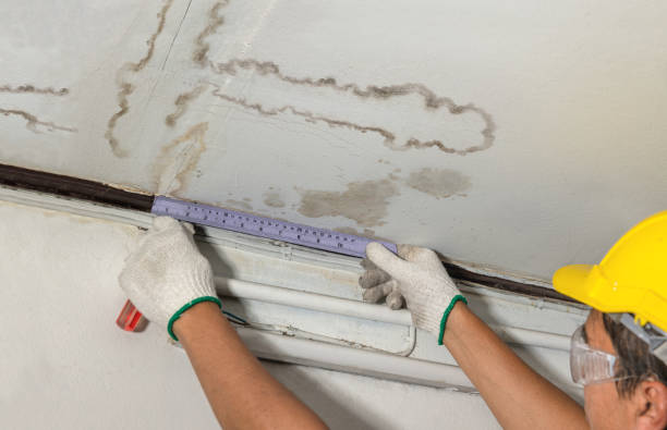 Affordable Basement Flood Cleanup solutions in King, WI
